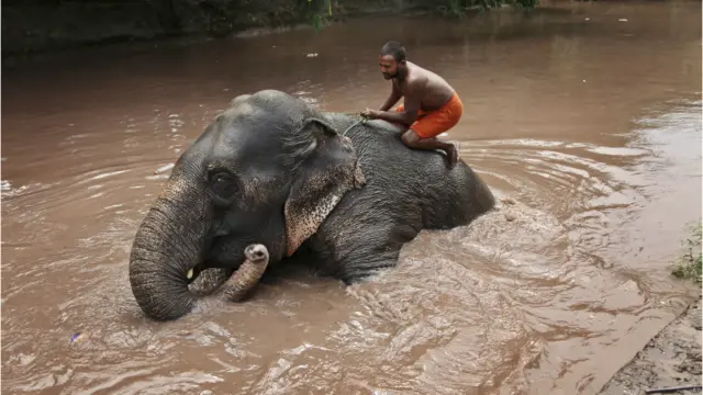 भारत में गर्मी और लू का कहर