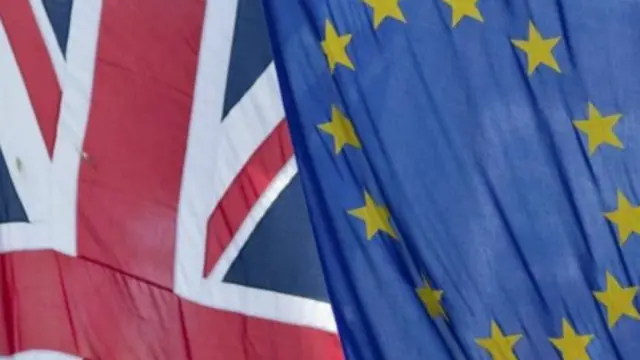 英国将于2017年年底之前举行是否留在欧盟之内的全民表决 