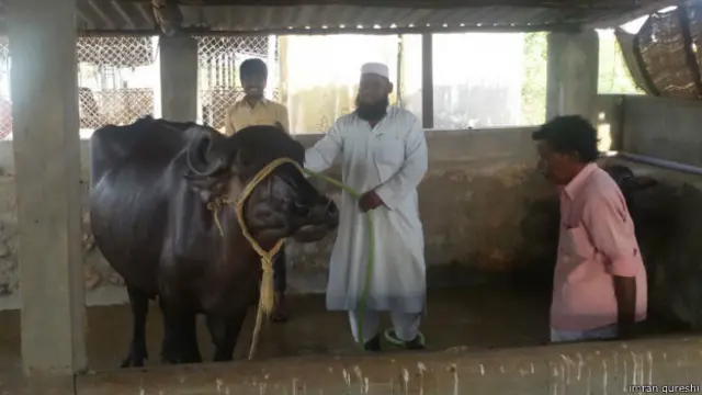 अहमद पाशा