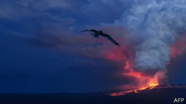 La isla Isabela es la más grande del archipiélago de las Galápagos. 