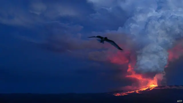 Над вулканом стоит огромный столб дыма и пепла