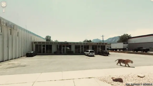 Dentro de las imágenes de Google Street View pueden aparecer cosas realmente impactantes.
