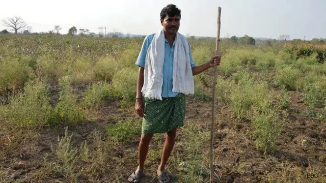بھارتی وزیرِ اعظم نے کسانوں کی فلاح و بہبود کے پیش نظر وزارت زراعت میں تبدیلی کا اعلان کیا