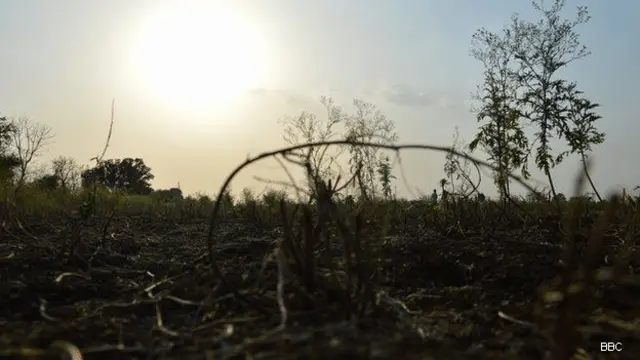 भारत किसान