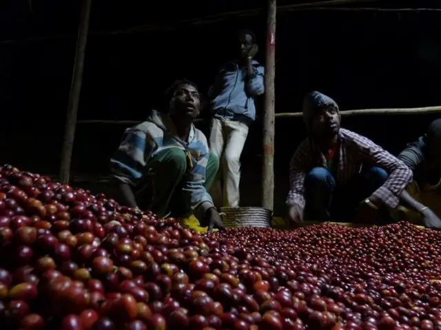 Trabajadores del café