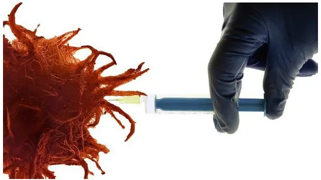 Ирсиятга аралашиб, ҳалокатли вирус яратиб қўйиш мумкин.