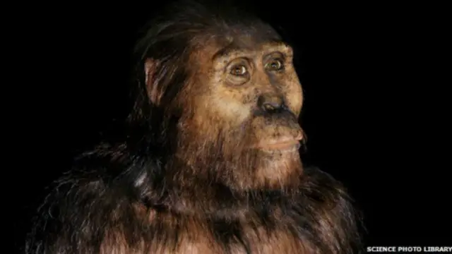 Spesies manusia purba Australopithecus afarensis semula diyakini sebagai nenek moyang manusia modern.