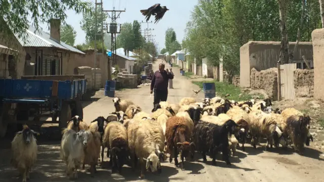 Karagündüz köyünde çukursuz yol yok.