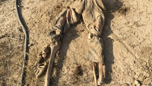 Maydad ayaa laga soo saaray Tikrit, waxayna u badnaayeen dadkii ay dileen Daacish