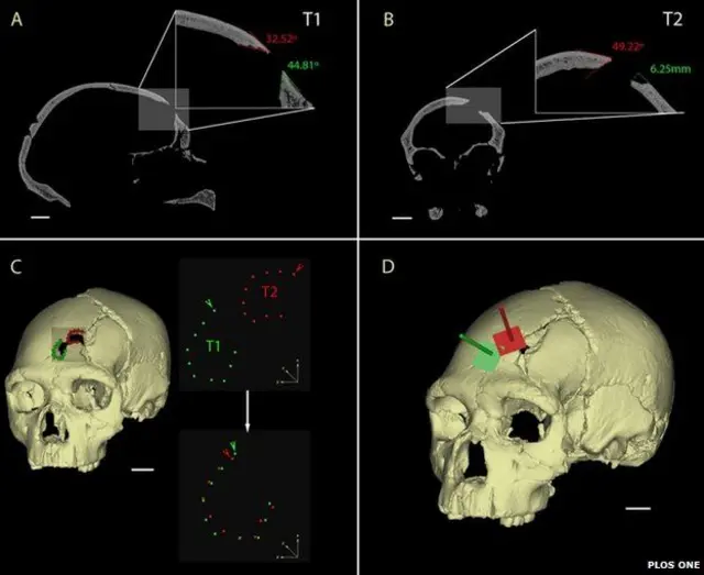 череп неандертальца