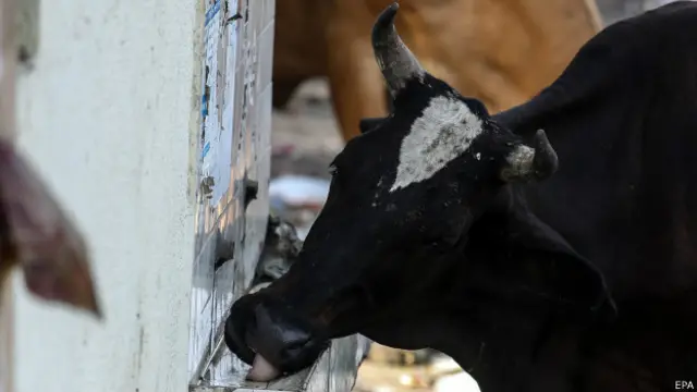 भीषण गर्मी