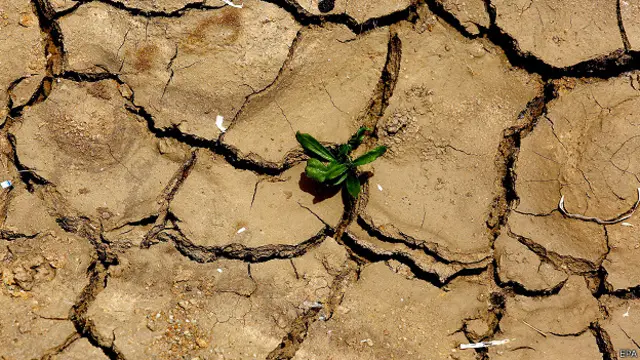 गर्मी की वजह से कर्नाटक के एक गांव में सूखी जमीन.