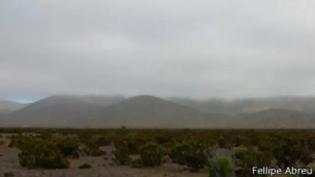 Atacama es uno de los lugares más secos del mundo.