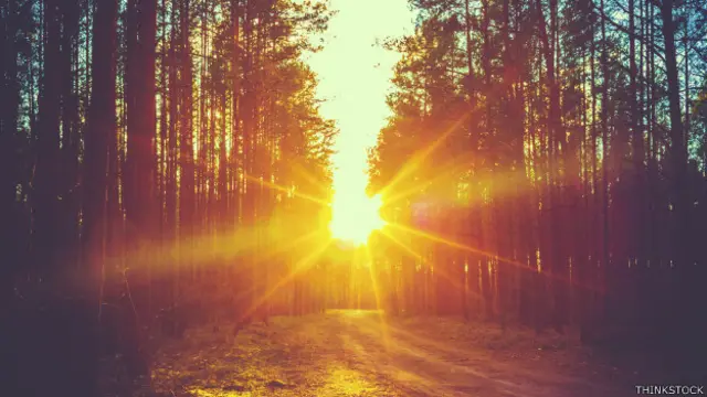 Los filtros fríos y los que dan apariencia "vintage" no funcionan tan bien, según el estudio.