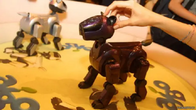 أول روبوت استخدمته الباحثة "ميري-آن" هو من طراز "أيبو" الذي يشبه الكلب وصنعته شركة "سوني" بين أعوام 1999 و 2005