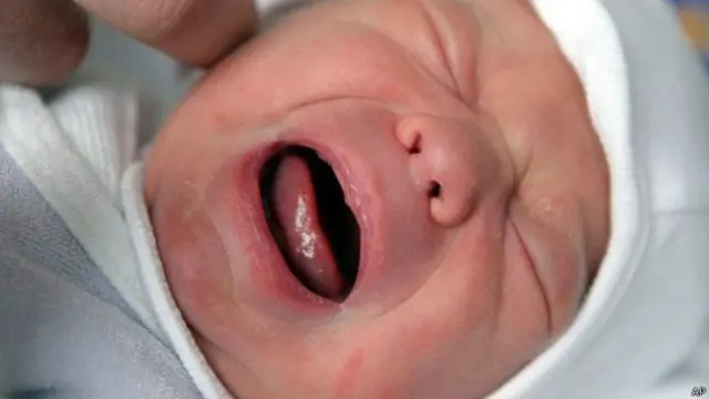 حذر معدو الدراسة من العواقب الوخيمة المترتبة على انكماش حجم القوة العاملة على الاقتصاد