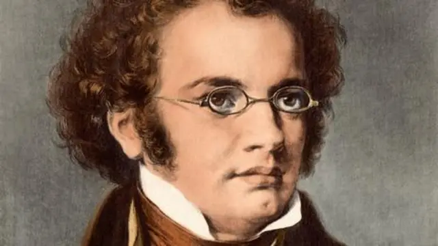 弗朗茨·舒伯特（图片来源：Alamy）