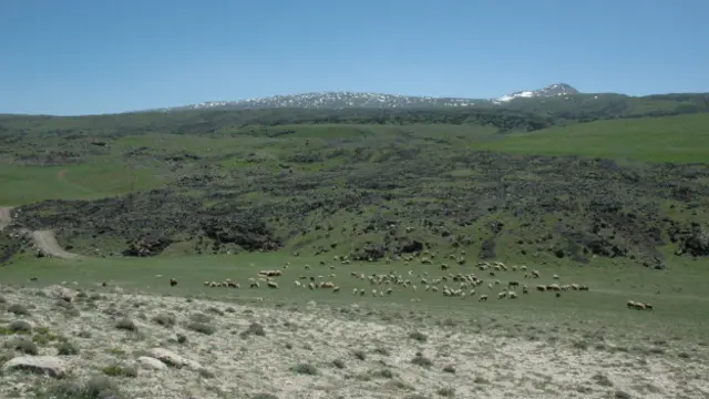 Yukarıtütek Köyü’nde çatışma çıkan yerde fidanlar ekilmiş