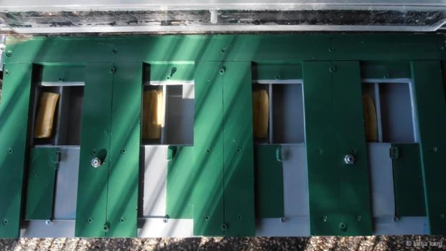 给黑猩猩提供放有香蕉的托盘(图片来源:凯特佳·卡格)