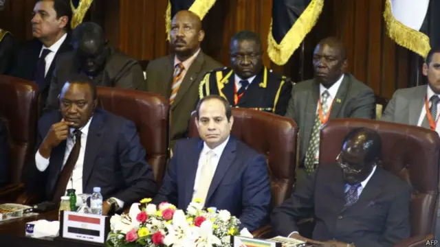 حضر حفل تنصيب البشير الرئيس المصري عبد الفتاح السيسي. 