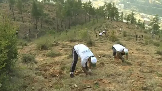 भूटान पौधारोपण