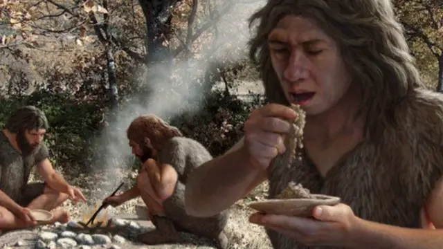 استفاده کنترل شده از آتش به پختن غذا منجر شد