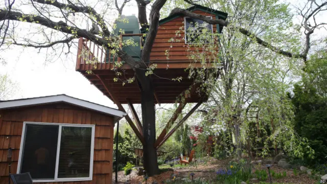 Casa en un arbol