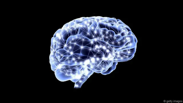 Человеческий мозг