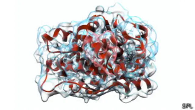 "Los andrógenos, u hormonas sexuales masculinas, promueven e intensifican el rendimiento, especialmente en aspectos como la fuerza física, el vigor y la velocidad, una situación que puede proporcionar ventaja e influir en el resultado de los partidos", dice el reglamento.