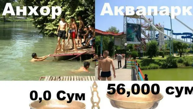 "Мен бу нархга Чорвоққа бораман, яна кабобга ҳам пулим қолади"