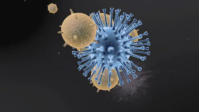 خلايا سرطان الجلد