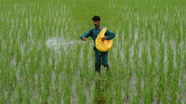 نواز شریف نے کسانوں کے لیے 40 ارب روپے سے زیادہ کے امدادی پیکیج کا اعلان کیا تھا