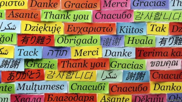 Dominar un idioma exige la participación de todos los sistemas de memoria.