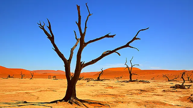 ग्लोबल वॉर्मिंग, लू 