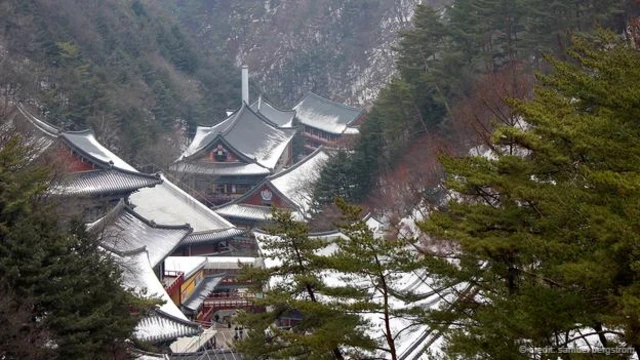 从救仁寺俯瞰山谷（图片来源：Samuel Bergstrom ）