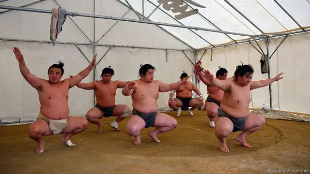 Борцы сгибаются с легкостью, напоминающей о податливости сырой глины, и с грацией, которая заставляет перестать обращать внимание на их объемную плоть