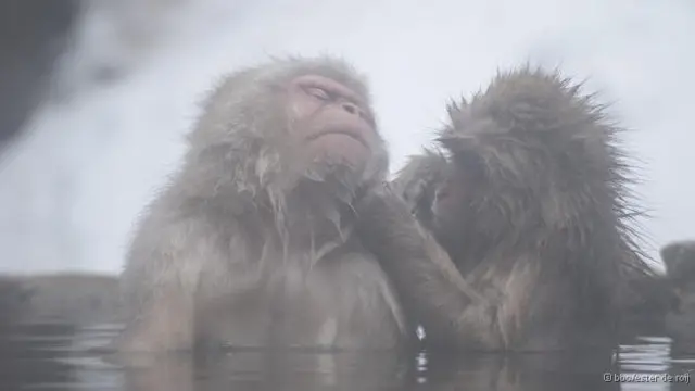 Ilhas encantadas': 12 maravilhas naturais do Japão - BBC News Brasil