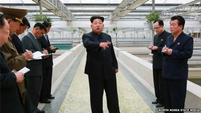 金正恩指导养殖钻文龟