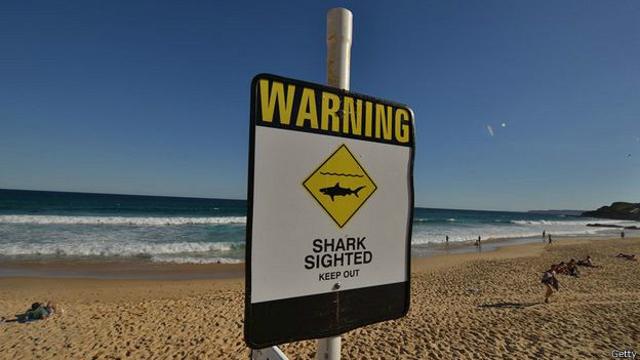 playa con cartel de advertencia sobre presencia de tiburones