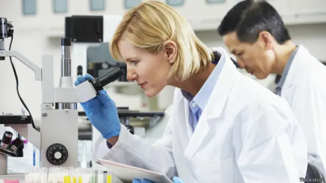 Женщины и мужчины должны работать в раздельных лабораториях? Вряд ли это возможно в современной жизни