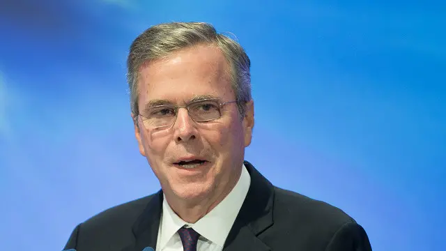 jeb bush