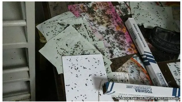 وارسل البعض صورا لفضلات الحيوانات على مكاتب