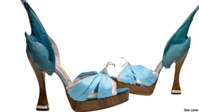 Туфли-попугаи