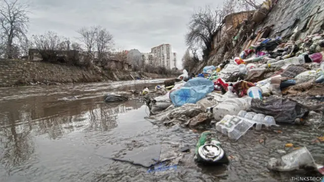 Lixo pode ser muito prejudicial à vida silvestre