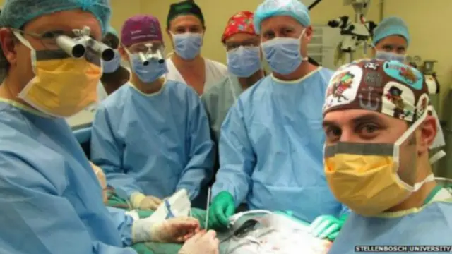 د ۲۰۱۴ کال دسمبر کې سوېلي افریقا کې د لومړي ځل لپاره د نارینه تناسلي آلې کامیاب پیوندي عملیات ترسره شوي وو.