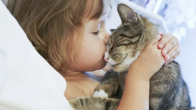 Una niña con un gatito