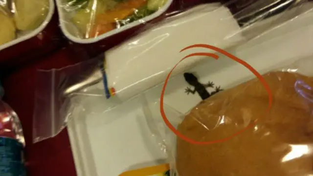 Foto cecak dalam makanan pesawat yang menghebohkan itu
