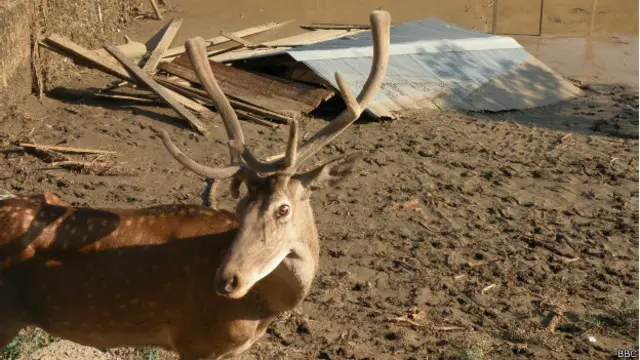 Тбилисский зоопарк