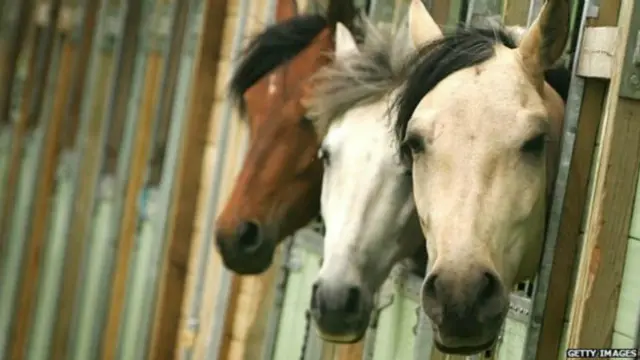 مخلوط حکومت نے اپنے منشور میں توانائی کے متبادل ذرائع تلاش کرنے پر زور دیا ہے