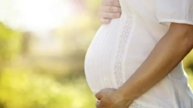 Banyak ilmuwa yang menganggap cangkok rahim tidak lazim, malah akan merangsang munculnya sel kanker.